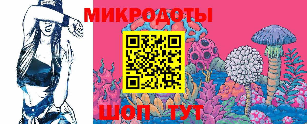 Псилоцибиновые грибы Cubensis Алексеевка